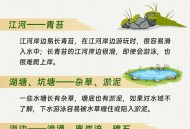 5人遇难！暑期出游悲剧频发，这些安全警示必须牢记