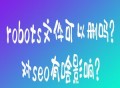 robots文件可以删吗？对seo有啥影响？