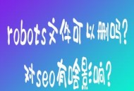 robots文件可以删吗？对seo有啥影响？