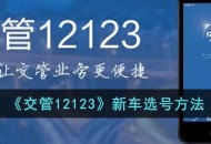 《交管12123》新车选号要怎么样选 《交管12123》新车选号的具体方法