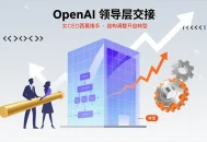 OpenAI CEO交出日常运营权，女CEO西莫接手，结构调整并开启转型。