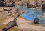 《颂钟长鸣》大型更新概览：全新生物登陆哈尔玛尔群岛