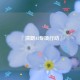 本站响应『清朗AI专项行动』通知