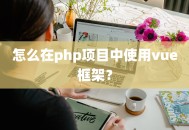 怎么在php项目中使用vue框架？