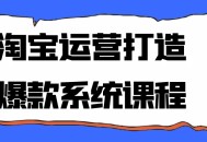 淘宝运营打造爆款系统课程开启店铺流量与销量的爆发式增长