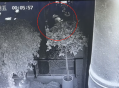 网友称丈夫被酒店养的猫抓伤，酒店回应：索赔2万元不合理，无法承担