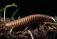 初创公司如何通过SEO策略提升爬虫友好度