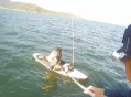 孤舟海钓遇险，深圳海警驰援！出海游玩一定要记住这个电话→