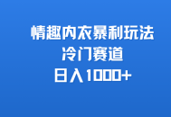 情趣内衣暴利玩法，冷门赛道，日入1000+