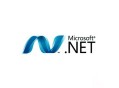 Microsoft.NET+Framework+v2.0