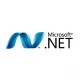 Microsoft.NET+Framework+v2.0