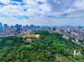 2025年“羊城八景”：越秀风华