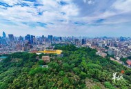 2025年“羊城八景”：越秀风华