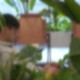 从缅甸电诈园区脱险回家，高中生胡一啸都经历了什么？