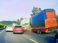 9万元买的汗血宝马，在高速事故中死亡
