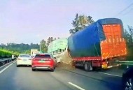 9万元买的汗血宝马，在高速事故中死亡