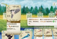 《展翅翱翔》游戏测评：可玩性到底有多高？