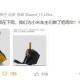 雷军称为小米车主做专属伞，定价169元，今日开售