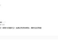 【WP插件】AI自动评论回复提升评论区活跃度