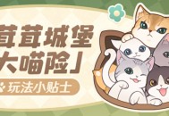 「茸茸城堡大喵险」玩法小贴士