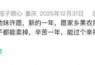 以武会友以爱助农：《永劫无间》手游玩家的江湖在桔园