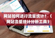 网站如何进行流量统计？（网站流量统计分析工具）