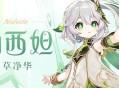 「白草净华」纳西妲角色介绍