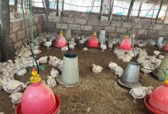 中国籍女农场主非洲失踪近30天，已确认遇害