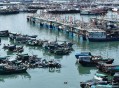 明日出海抢“鲜”！阳江闸坡千帆待发｜小羊拍客