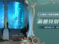 4.0版本「仿若无因飘落的轻雨」前瞻特别节目预告