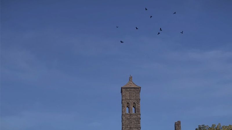 《颂钟长鸣》大型更新概览：全新生物登陆哈尔玛尔群岛-第5张图片