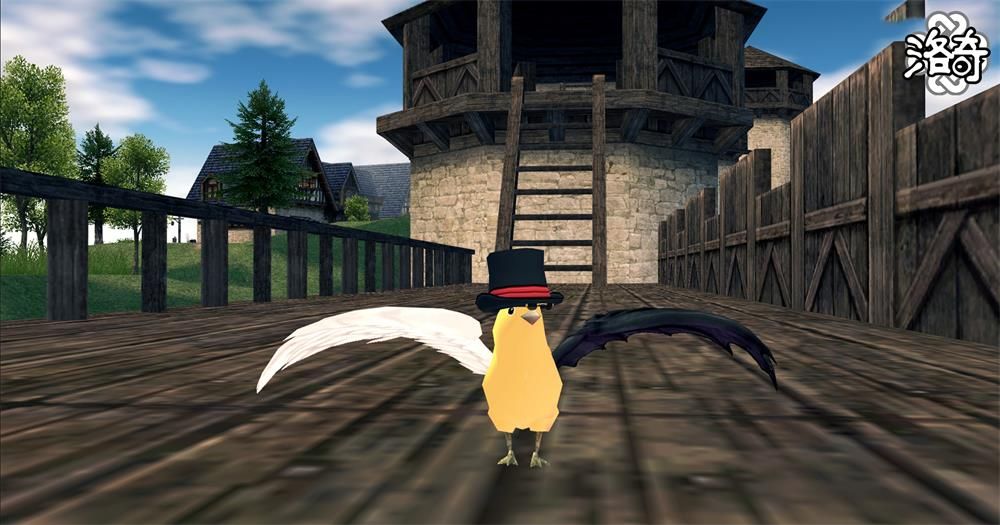 《洛奇》动物变身,让这个世界变得可爱-第3张图片