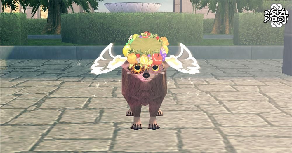 《洛奇》动物变身,让这个世界变得可爱-第5张图片