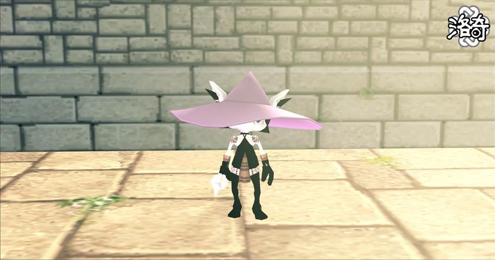 《洛奇》动物变身,让这个世界变得可爱-第1张图片