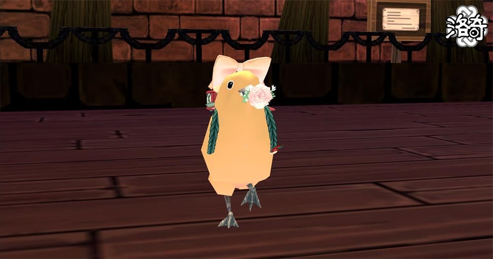 《洛奇》动物变身,让这个世界变得可爱-第2张图片