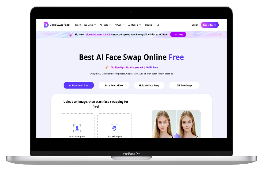 DeepSwapFace：免费AI换脸工具，零门槛操作，照片视频GIF一键变身-第1张图片