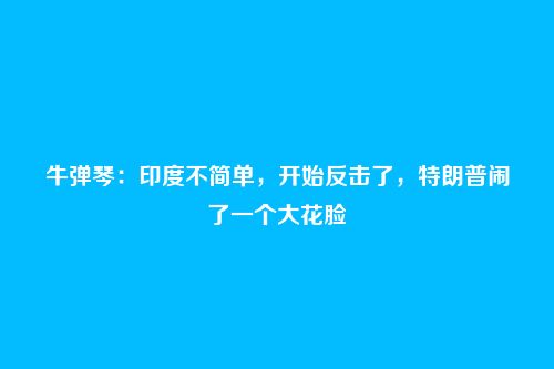牛弹琴：印度不简单，开始反击了，特朗普闹了一个大花脸
