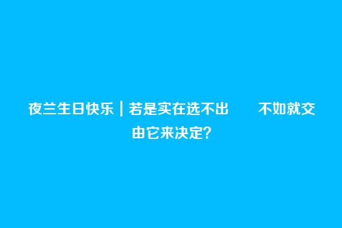 夜兰生日快乐｜若是实在选不出――不如就交由它来决定？