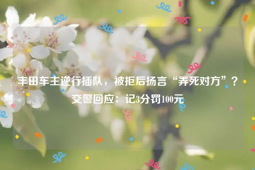 丰田车主逆行插队，被拒后扬言“弄死对方”？交警回应：记3分罚100元