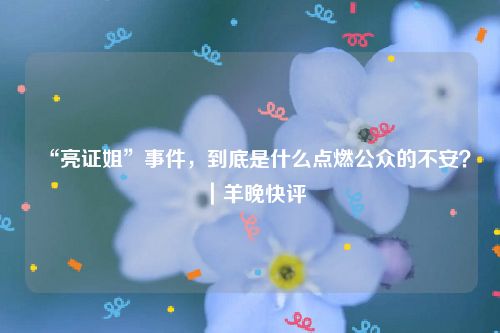 “亮证姐”事件，到底是什么点燃公众的不安？｜羊晚快评