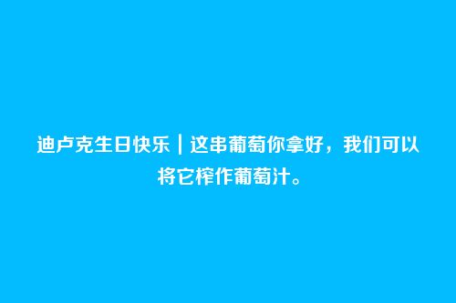 迪卢克生日快乐｜这串葡萄你拿好，我们可以将它榨作葡萄汁。