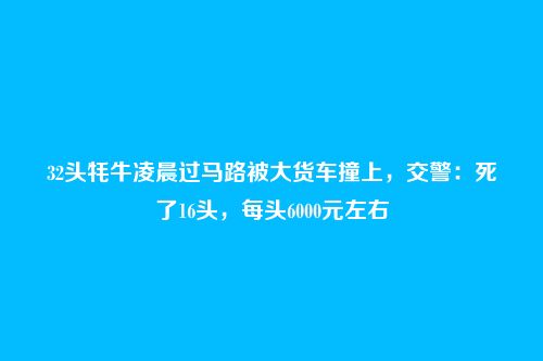 32头牦牛凌晨过马路被大货车撞上，交警：死了16头，每头6000元左右