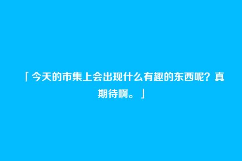 「今天的市集上会出现什么有趣的东西呢?真期待啊。」
