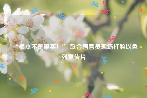 “根本不是事实！” 联合国官员现场打脸以色列宣传片