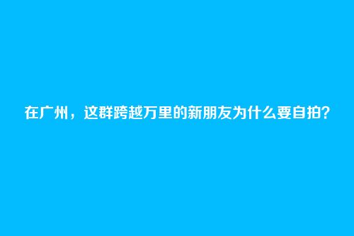 在广州，这群跨越万里的新朋友为什么要自拍？