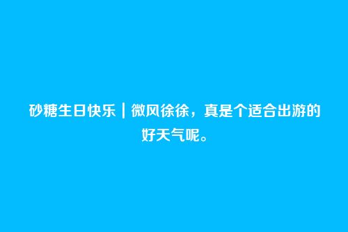 砂糖生日快乐｜微风徐徐，真是个适合出游的好天气呢。
