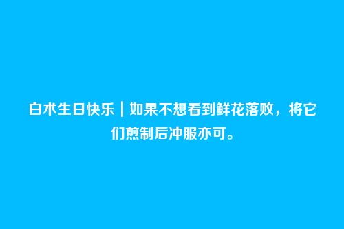 白术生日快乐|如果不想看到鲜花落败,将它们煎制后冲服亦可。
