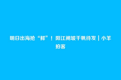 明日出海抢“鲜”！阳江闸坡千帆待发｜小羊拍客
