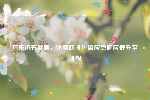 广东仍有暴雨，水利防汛Ⅳ级应急响应提升至Ⅲ级