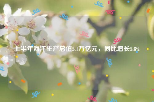 上半年海洋生产总值5.1万亿元，同比增长5.8%